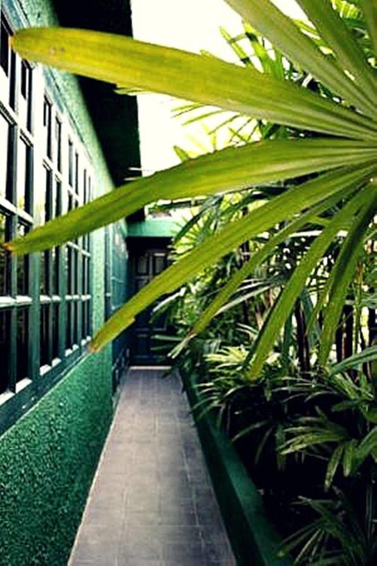 Rainforest Bed & Breakfast Куала-Лумпур Экстерьер фото
